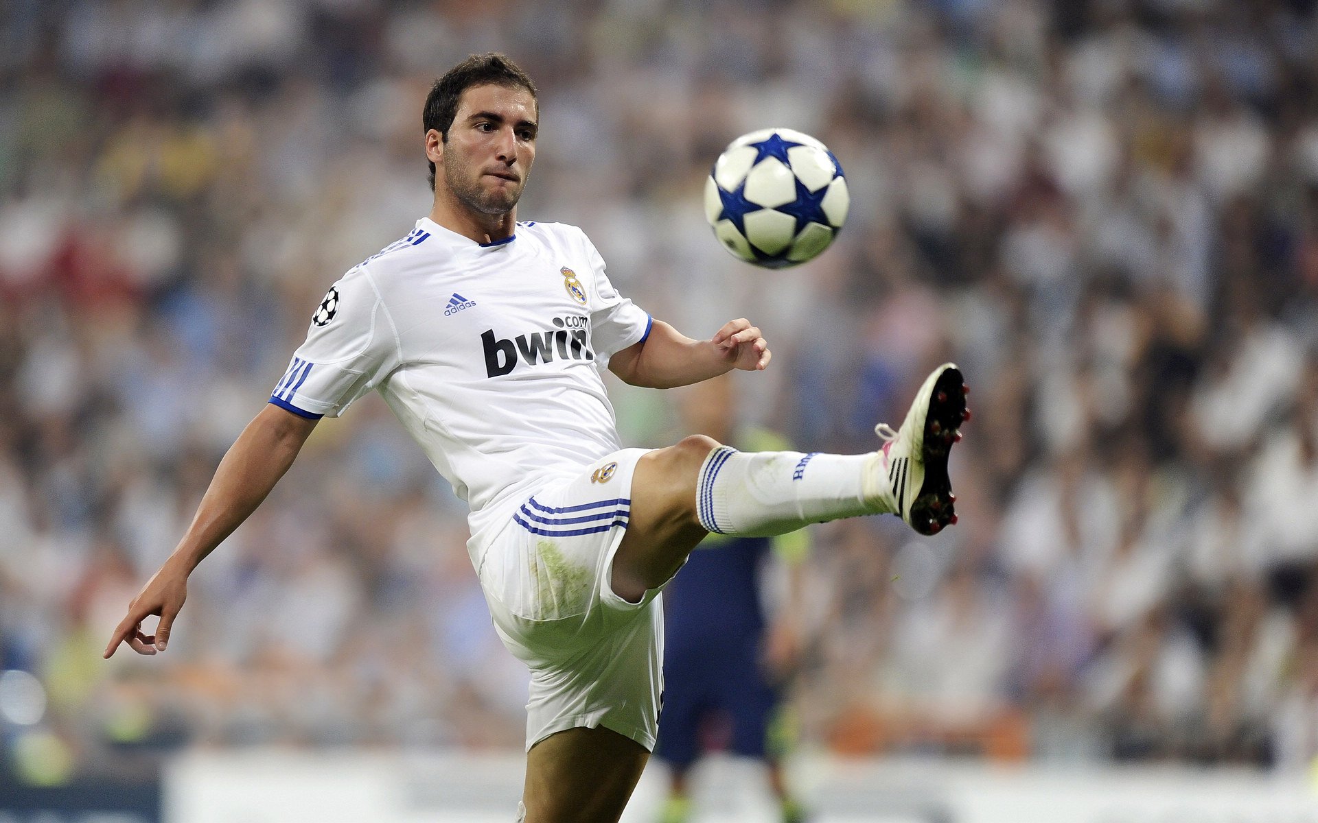 特色青训“绿色+智能+专业”行业生态逐步成型,行业竞争力不断增强