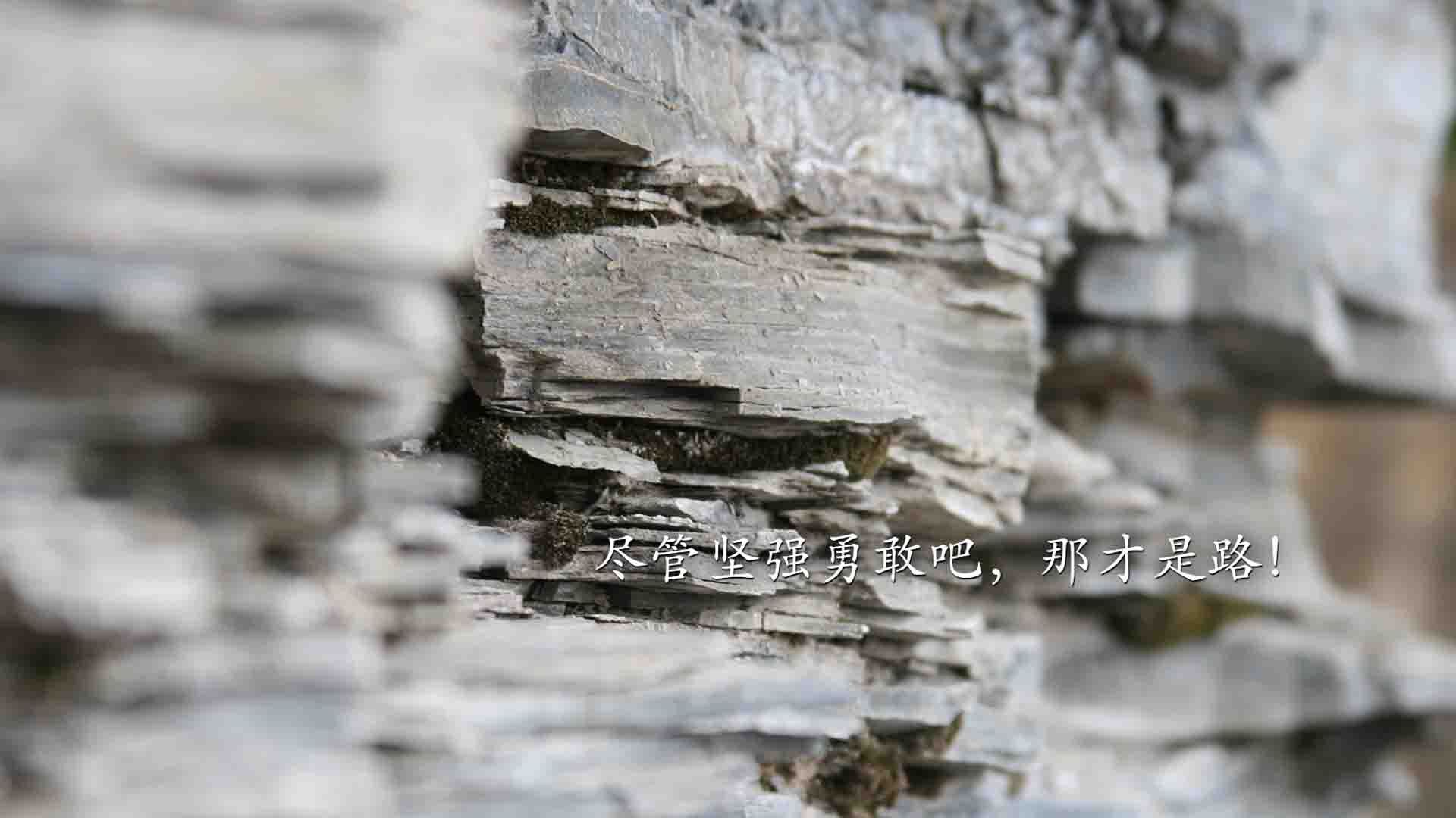 Kaiyun APP-网络直播带动中国足球新一轮全民热潮，足球直播流畅