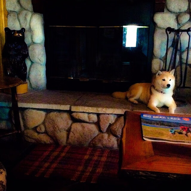 英超战火再燃,精彩进球与神级扑救引万人欢呼,英超 激烈