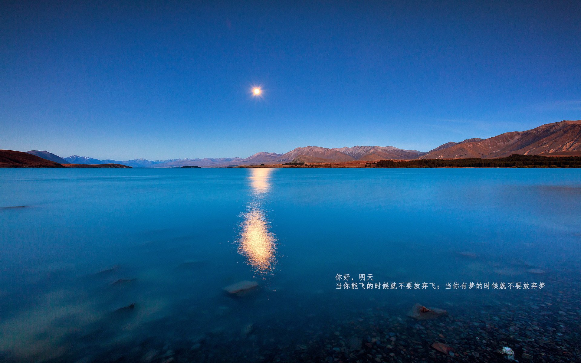 阿斯顿维拉在英超联赛中排名第四,获得欧冠资格,阿斯顿维拉夺得欧冠