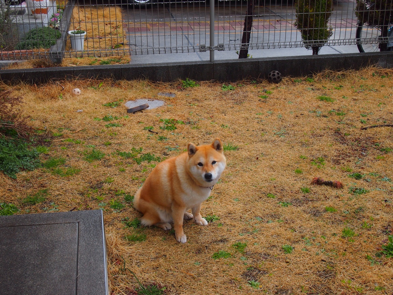 Team Liquid止步世界赛小组赛