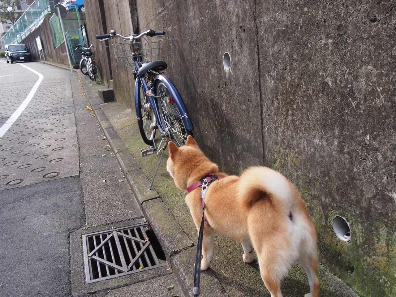 kaiyun.com-切尔西半决赛前景迷离，震撼关键战役暂未来临，切尔西决赛首发