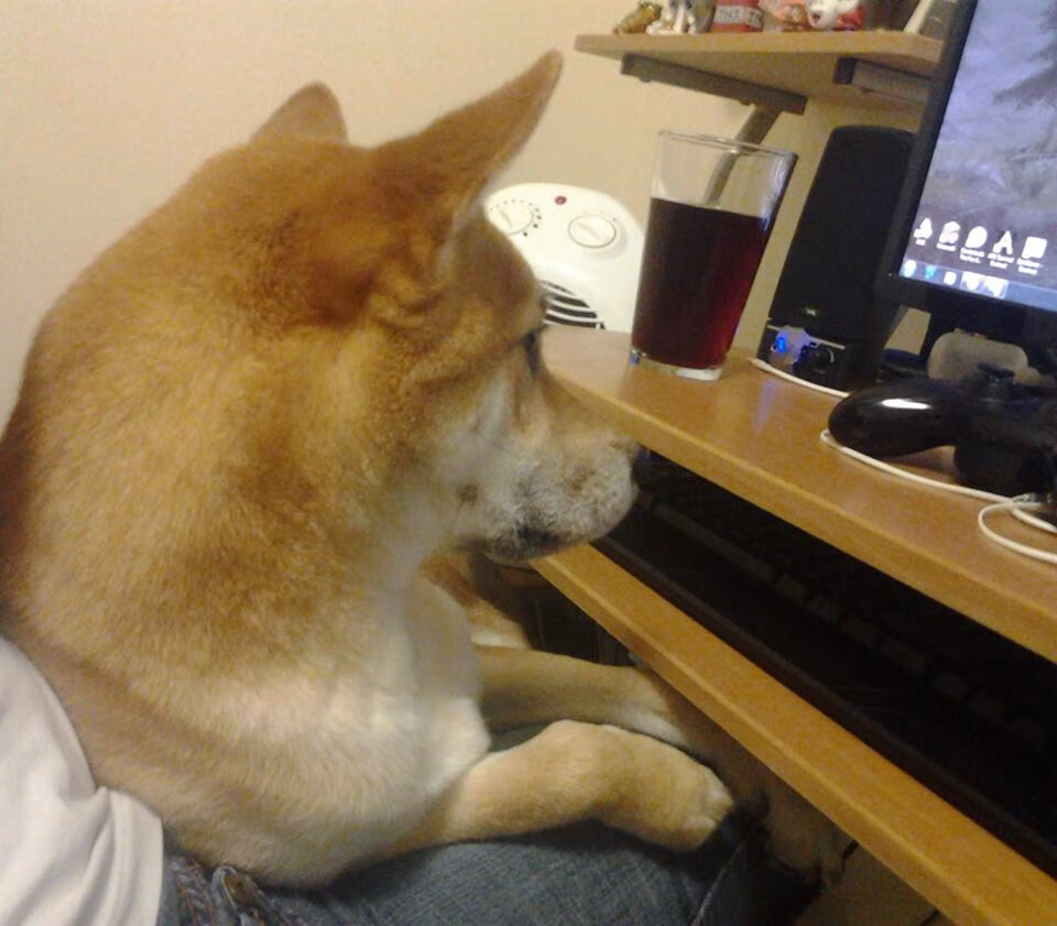 北京首钢战绩波动引发球迷讨论,北京首钢战绩2020