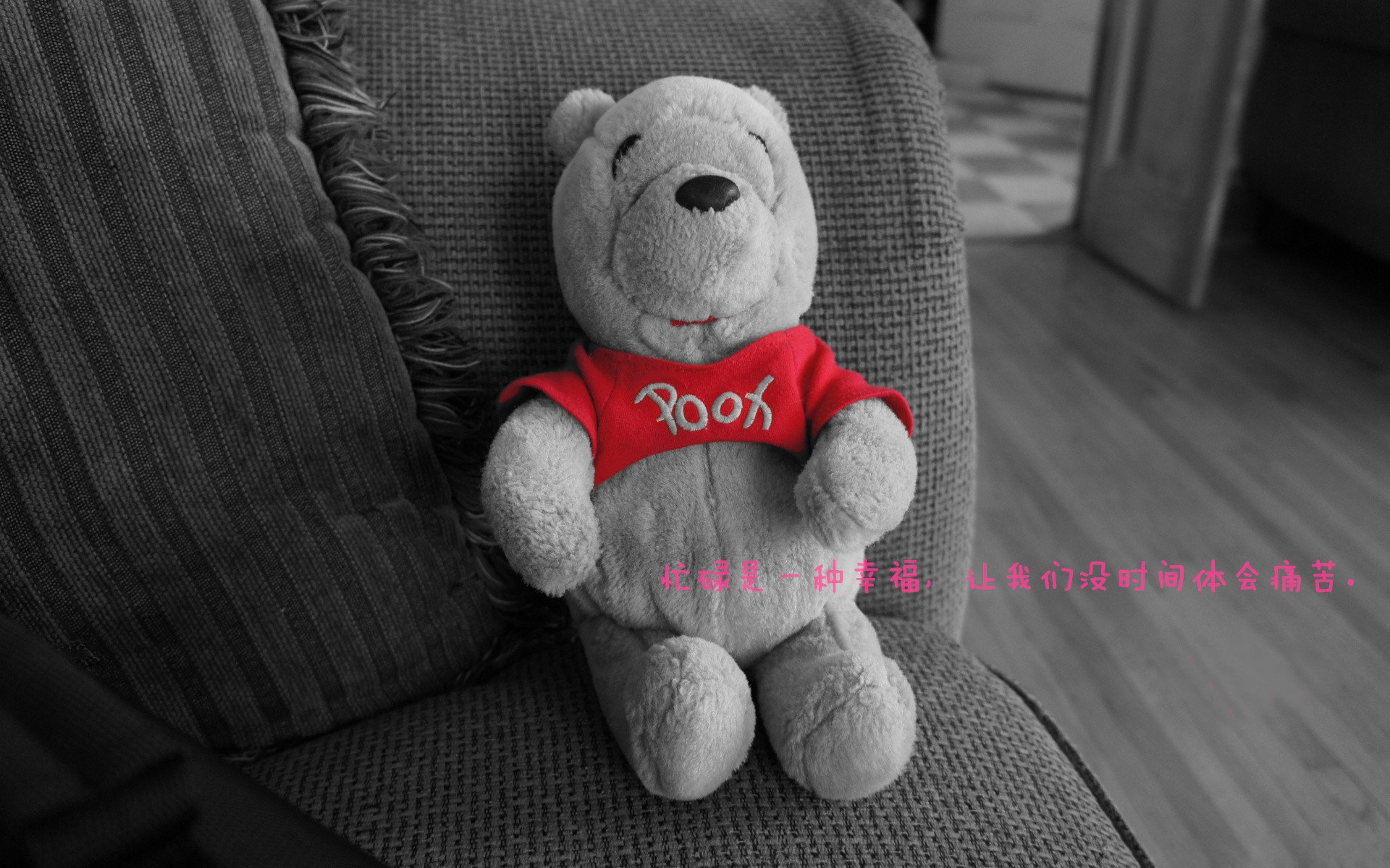 狼队球员伤患不断,保级形势不妙,狼队近况