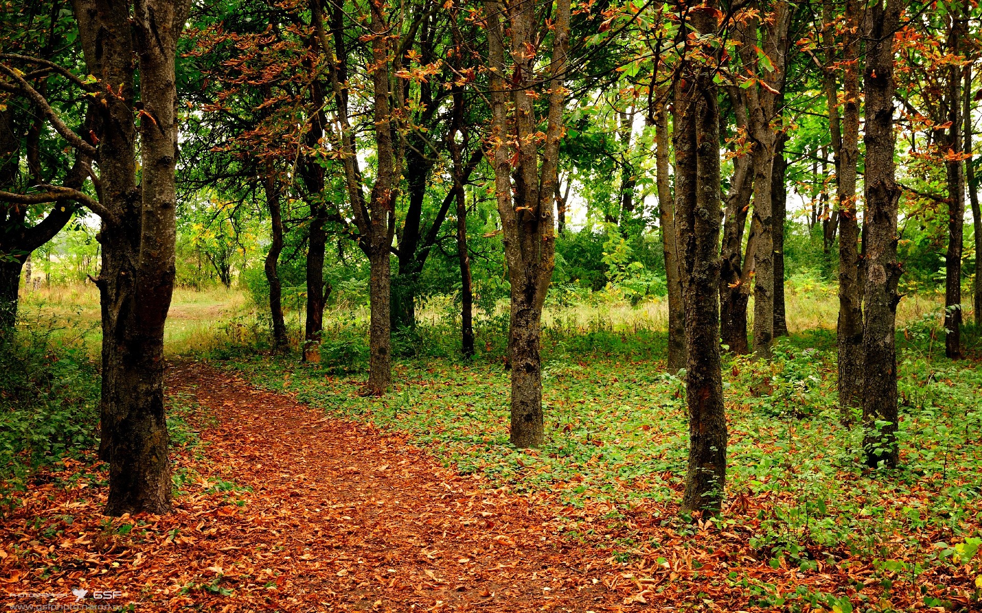 瑞士国脚加盟英超劲旅,提升战力与竞争力,瑞士 国际足联