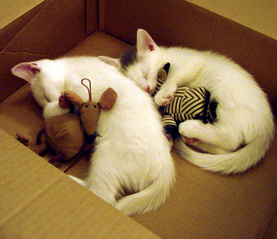 皇马尴尬!客场惨遭逆袭,进攻失效,“皇马”