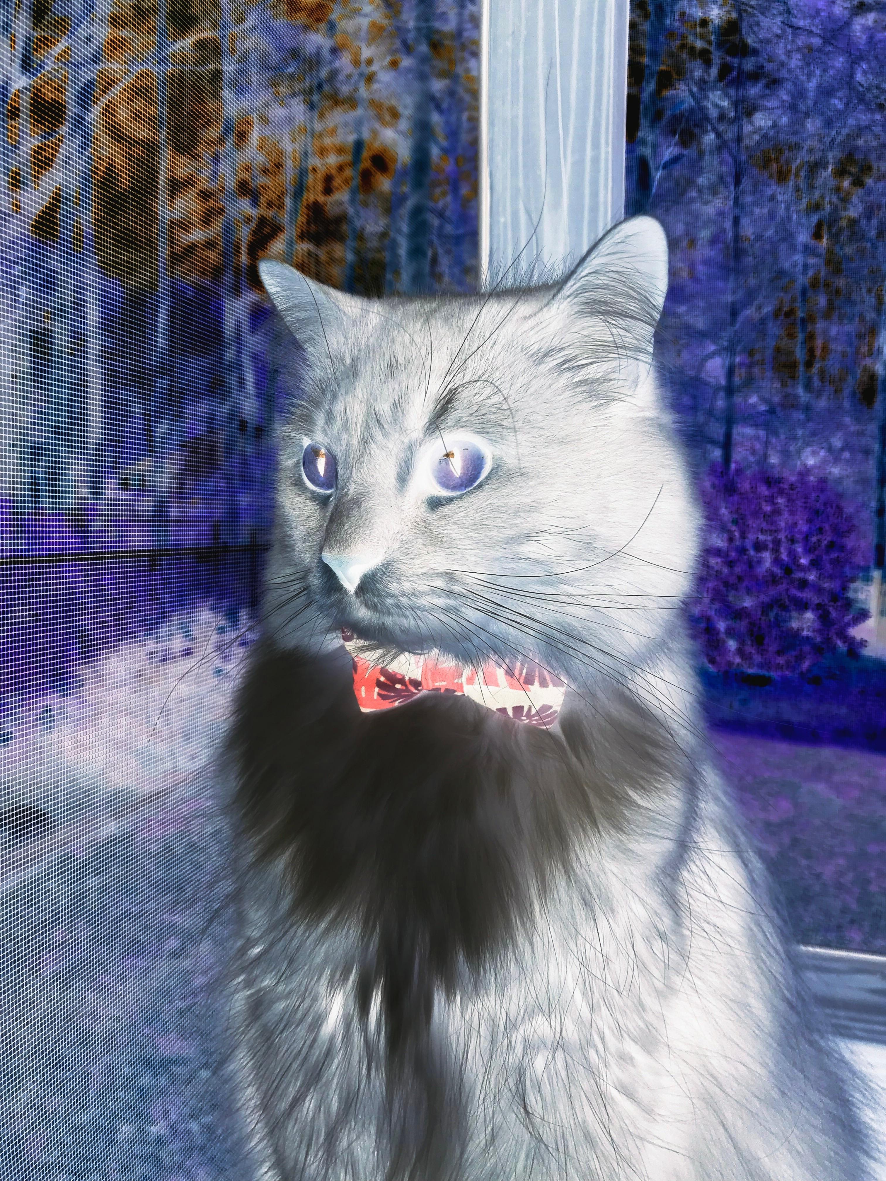 CBA球队优化训练节奏控制强度,cba的训练强度