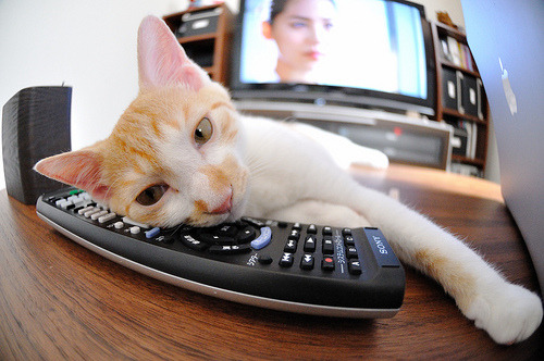 Kaiyun(中国)开云-混合泳德国双将同时晋级，混合泳冠军