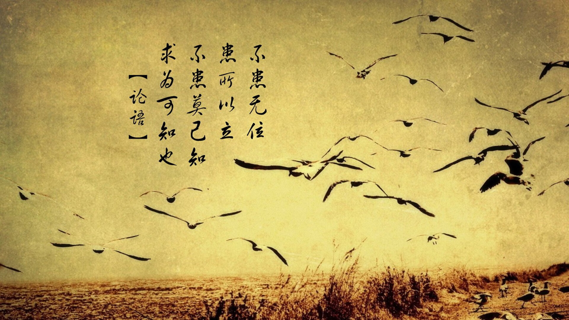 田径赛季新星涌现百米大战激烈,田径百米视频