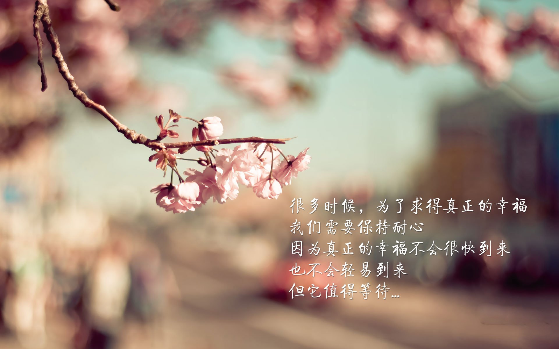 开云官网-C罗赠球迷签名球引发热烈反响，c罗的签字