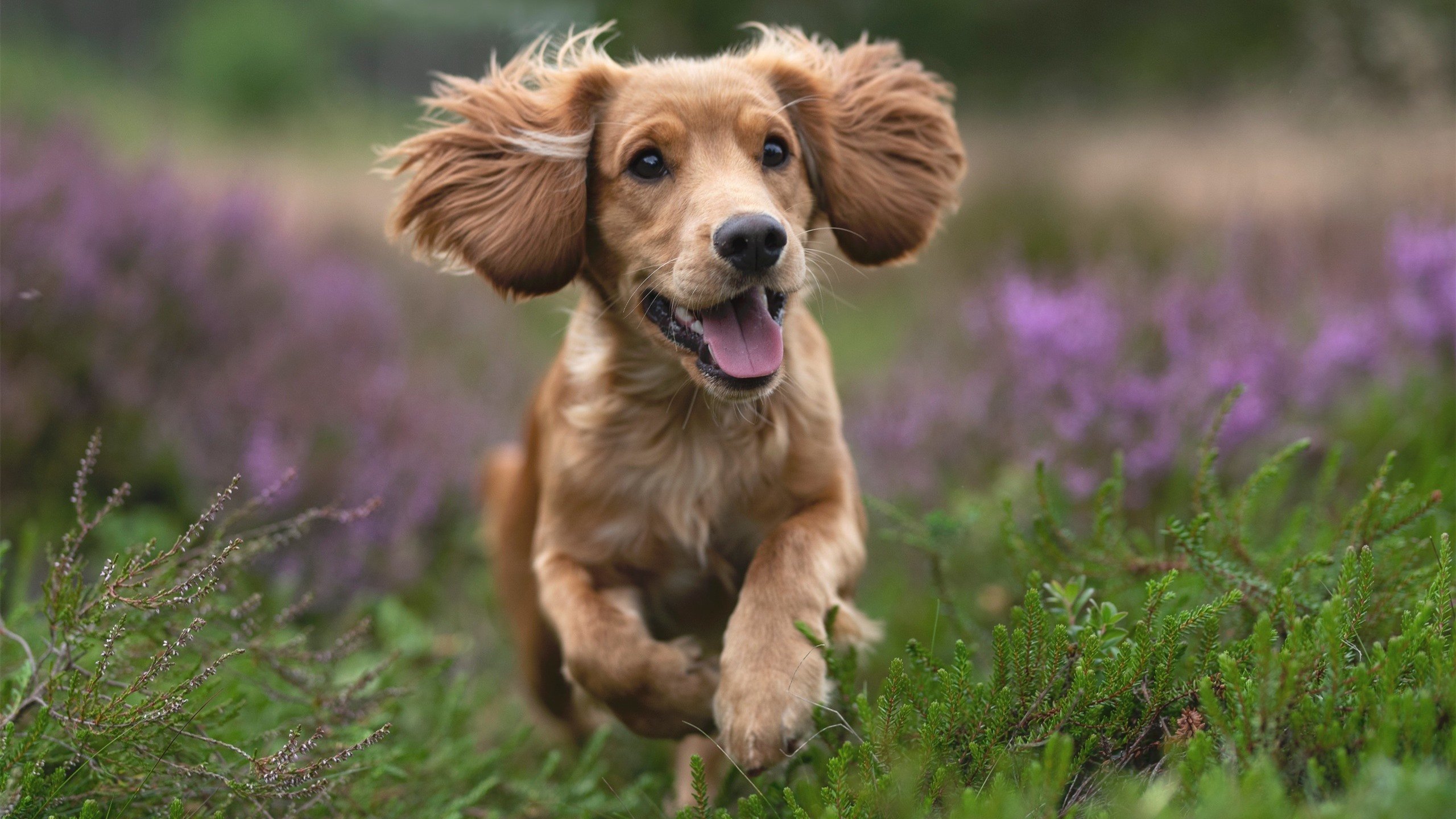 克莱尔·温斯坦状态在线 全力挑战自我,莱温斯基给克林顿