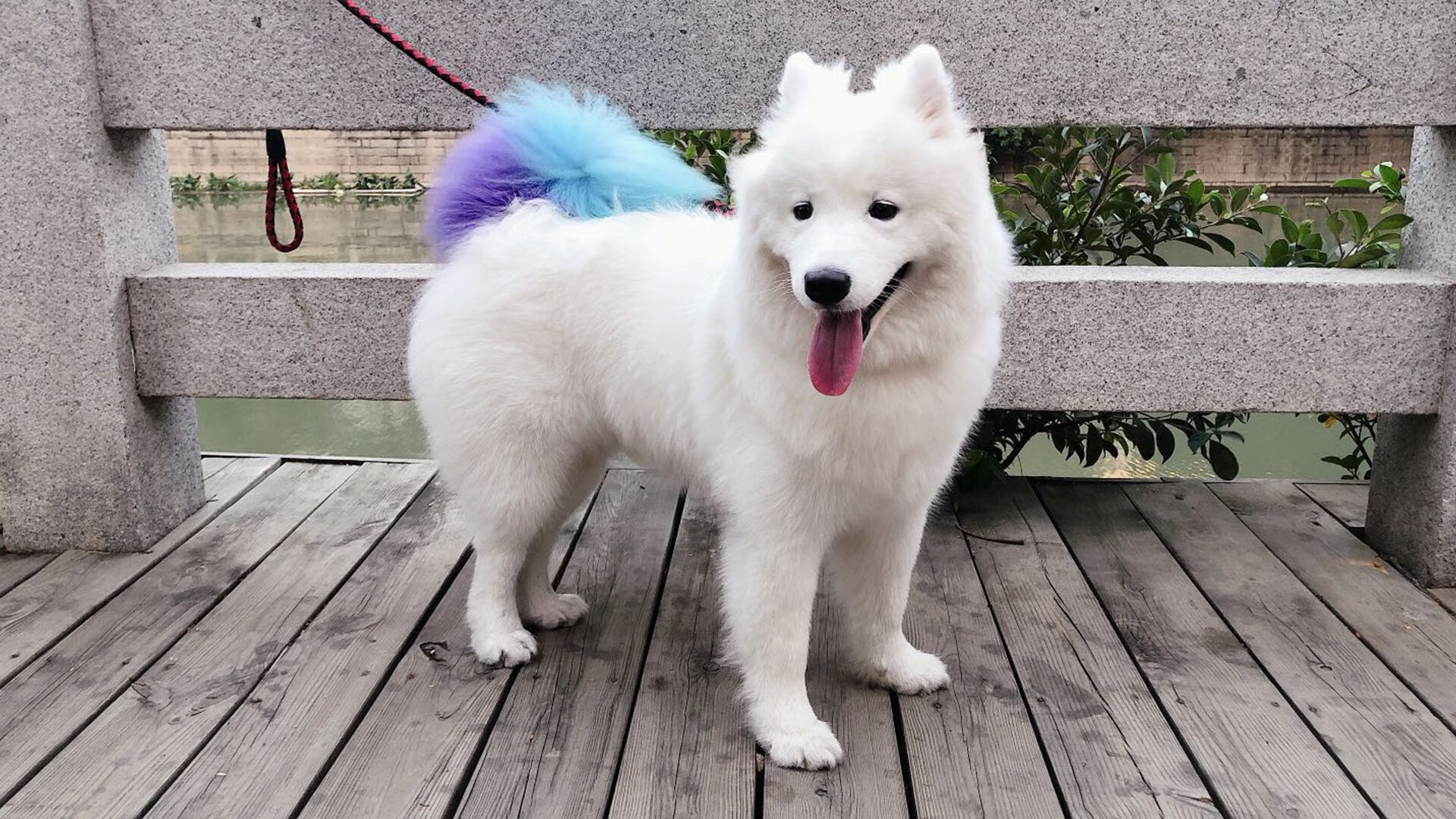 多国联手推动足球青训合作,打造国际足球青训联盟,国外足球青训体系