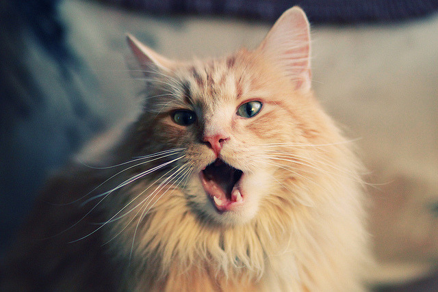 kaiyun体育综合-巴西世界杯队员集结，热身赛表现亮眼