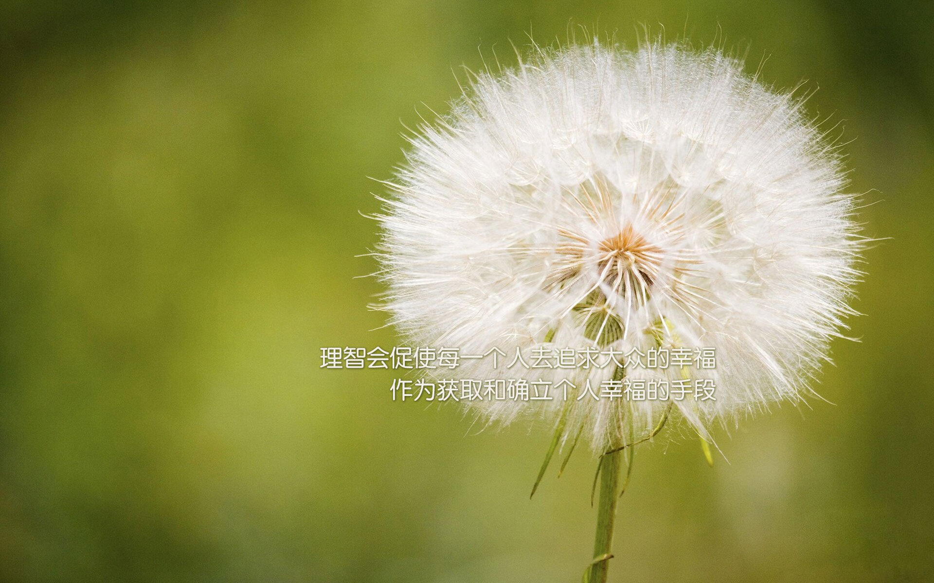 技术训练国际化步伐加快,技术训练常用的训练方法