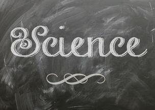 开云·体育官网APP下载-麦考领袖风范：全黑队胜利的灵魂人物，麦考3个总冠军