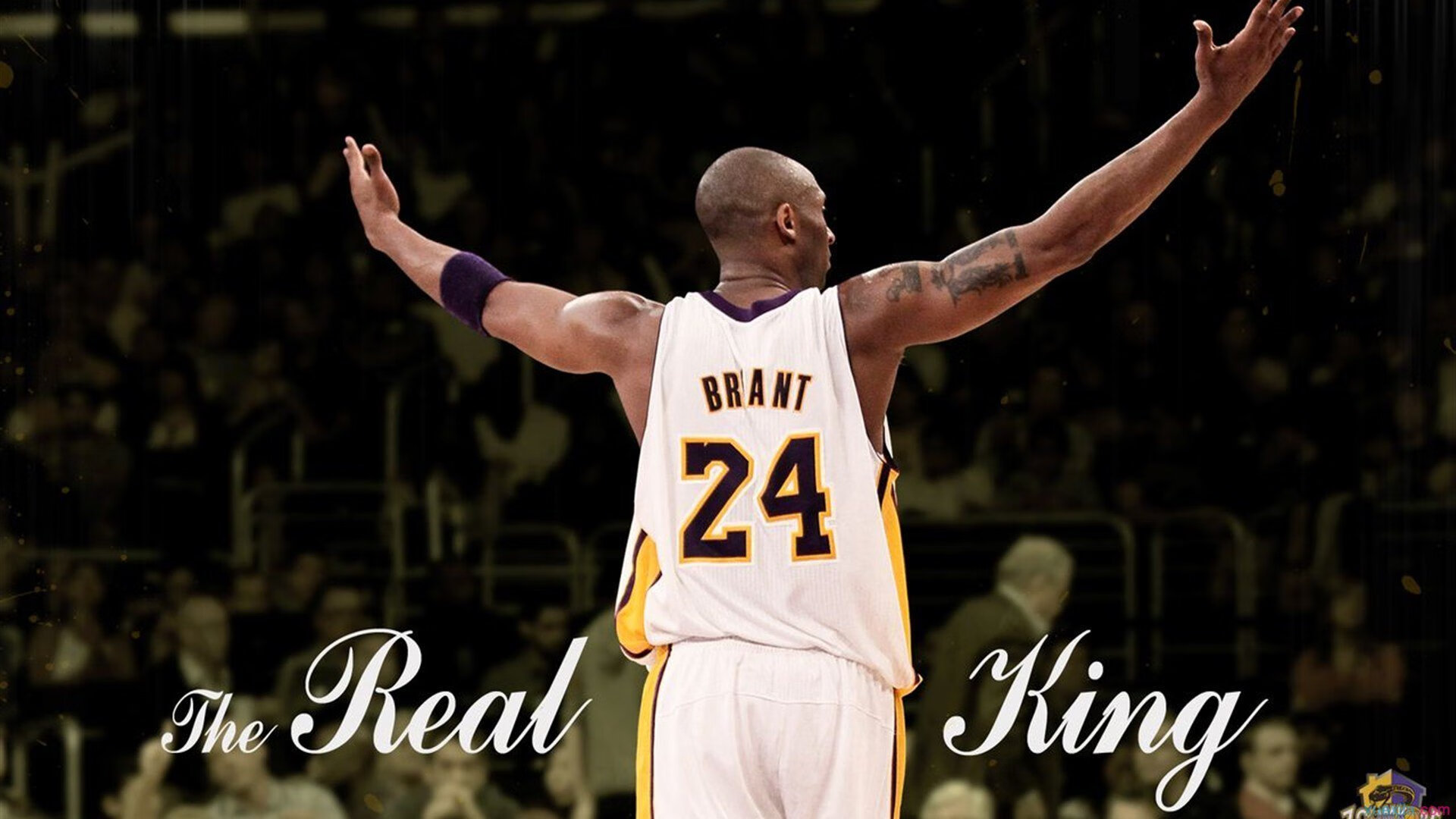 NBA赛季MVP候选人介绍,nba每届mvp